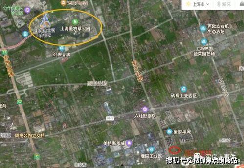 刘老大最新爆料分析图片,最新爆料图片背后的惊人真相